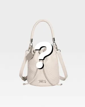 Mystery Purse